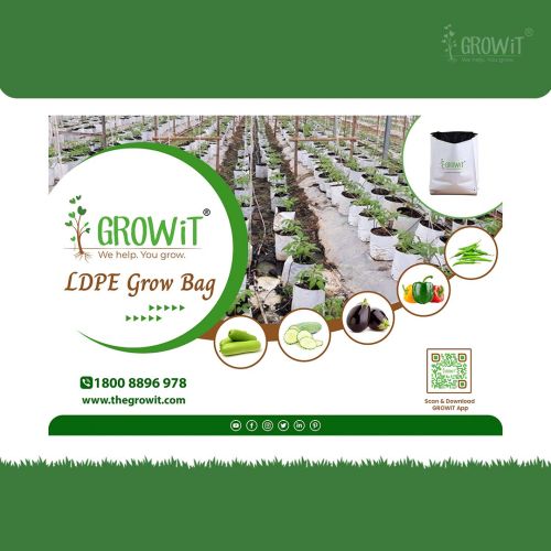 Grow Plant Nursery Bags (8x12 Inches) - 500 Pieces | Konga Online Shopping