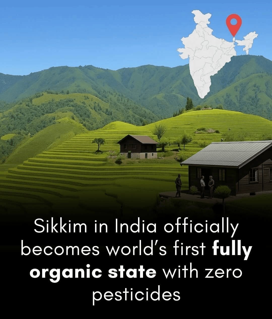 Sikkim is India’s first fully organic state.